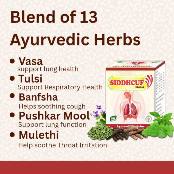 Siddhcuf Chatani - For Cough, Cold &  Respiratory Disorders - Image 3