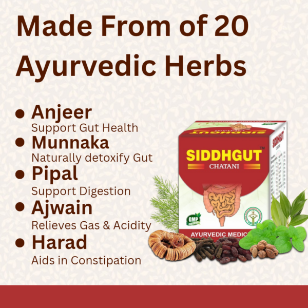 Siddhgut Chatani - For Gut Health - Image 3
