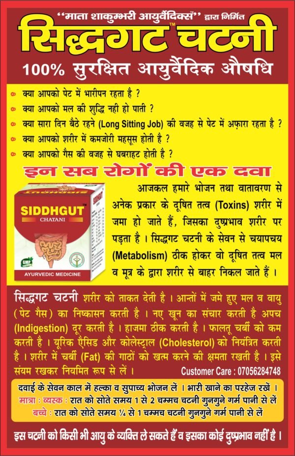 Siddhgut Chatani - For Gut Health - Image 7