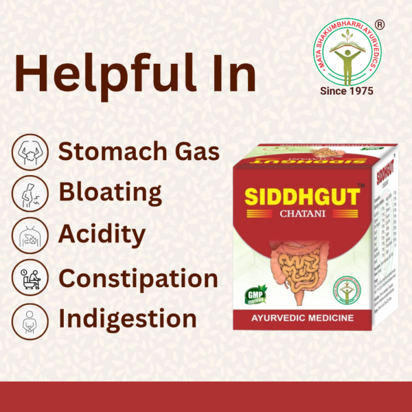 Siddhgut Chatani - For Gut Health - Image 2