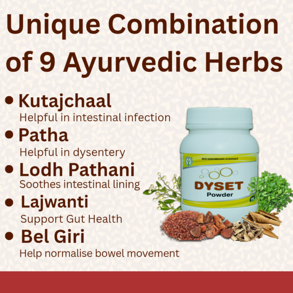 DYSET Powder - For Sangrahni, IBS & Diarrhoea - Image 3