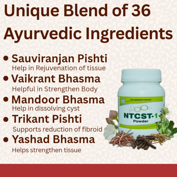 NTCST-1 Powder - For Uterine Fibroid  and Ovarian Cyst - Image 3