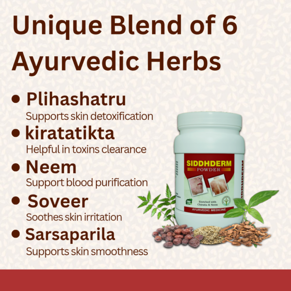 SIDDHDERM Powder - For Pimple,  Eczema, Psoriasis and Skin Diseases - Image 3