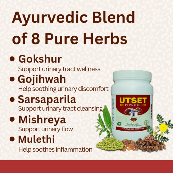 UTSET Powder - For  Urinary TracT Infection - Image 3