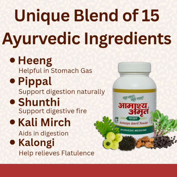 Aamasya Amrit Powder - For Stomach  Bloating, Indigestion & Constipation - Image 3