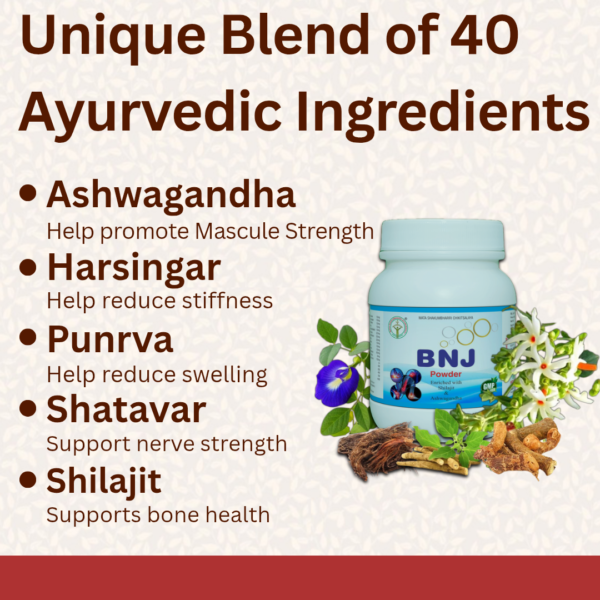 BNJ Powder - For Bone, Nerve &  Joint Care - Image 3