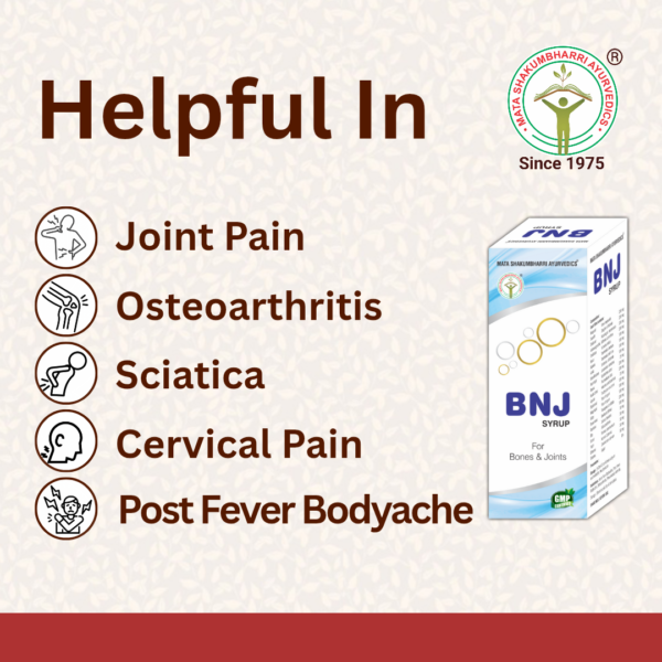 BNJ Syrup - For Bone, Nerve & Joint pain - Image 2