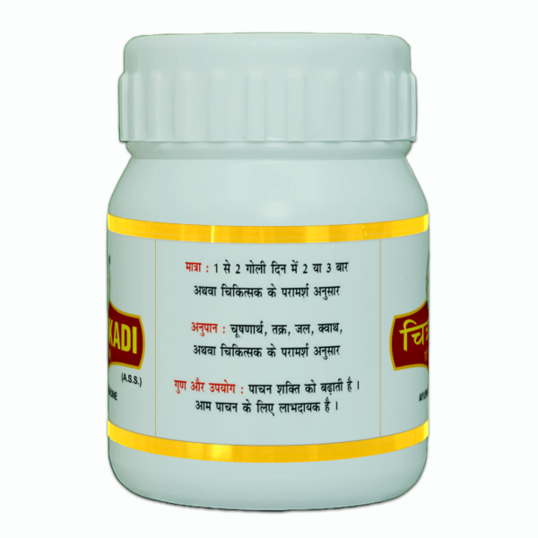 CHITRAKADI VATI (Gutika) - Image 3